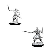 D&D Nolzur’s Marvellous Miniatures - Monsters A-M