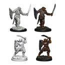 D&D Nolzur’s Marvellous Miniatures - Characters