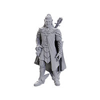 Wizkids - Critical Role Miniatures: Dorian Storm - Wave 23