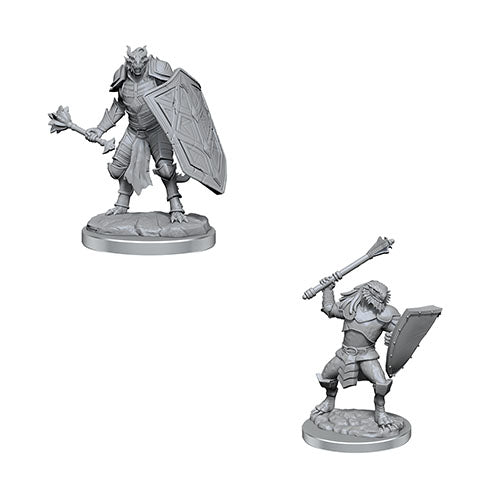 D&D Nolzur’s Marvellous Miniatures - Characters