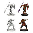 D&D Nolzur’s Marvellous Miniatures - Characters