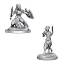 D&D Nolzur’s Marvellous Miniatures - Characters