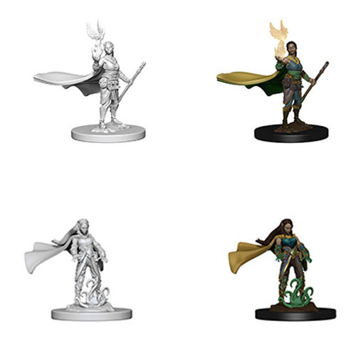 D&D Nolzur’s Marvellous Miniatures - Characters