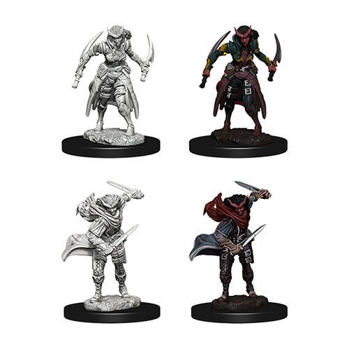 D&D Nolzur’s Marvellous Miniatures - Characters