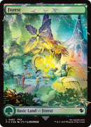 Image for Forest (Chocobo Track Foil) (482) (FIC) - Magic: The Gathering