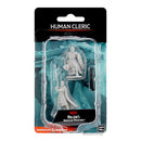 D&D Nolzur’s Marvellous Miniatures - Characters