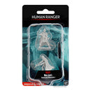 D&D Nolzur’s Marvellous Miniatures - Characters