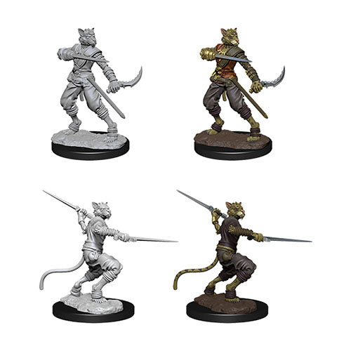 D&D Nolzur’s Marvellous Miniatures - Characters