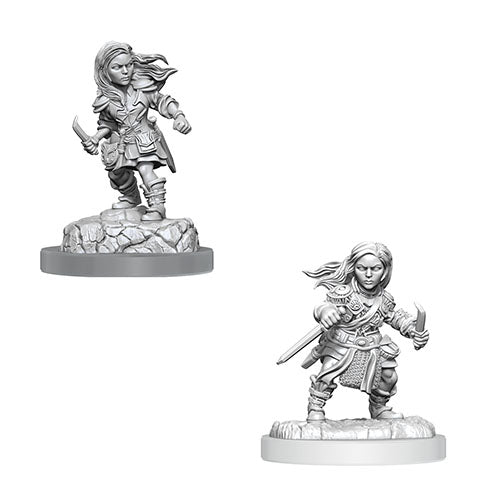 D&D Nolzur’s Marvellous Miniatures - Characters